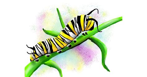 Caterpillar Drawing by Autumn - Drawize Gallery!