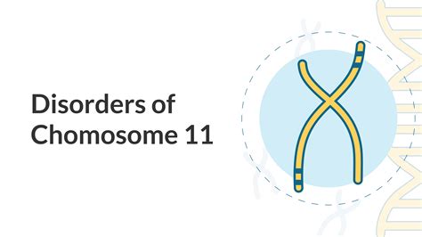 Disorders of Chromosome 11