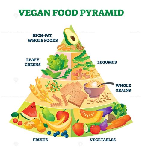 Vegan food pyramid vector illustration - VectorMine