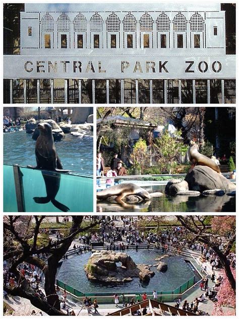 restaurants near central park zoo - Ambrose Barnette