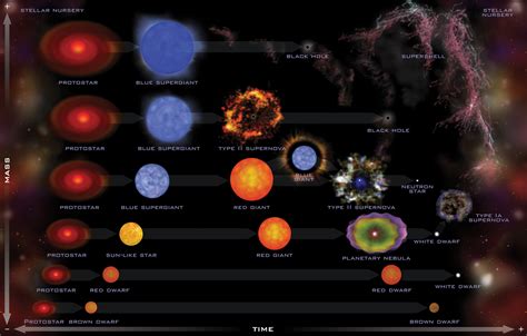 Protostar Evolutions