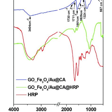 Pathway of p-chlorophenol degradation. | Download Scientific Diagram