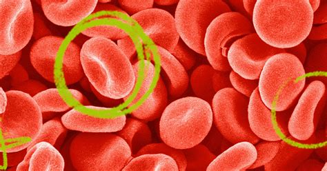 Hemoglobin