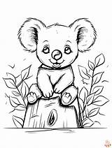 Free Printable Koala Coloring Pages  GBcoloring sketch template