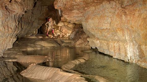 7,500-Year-Old Bat Guano Found in Newly Discovered Cave