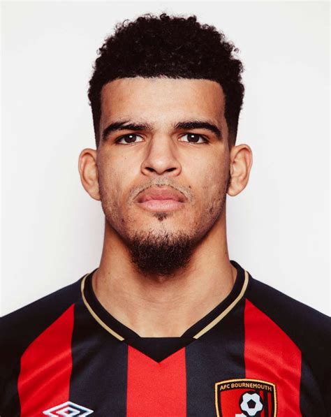 Dominic Solanke | Dominic solanke, Premier league goals, Afc bournemouth