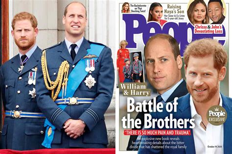 Prince William, Prince Harry Rift Rooted in 'So Much Pain'