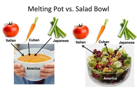 melting pot vs salad bowl theory