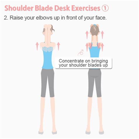 Shoulder-Blade Exercises to Burn Fat Fast A Healthy Way | Slism