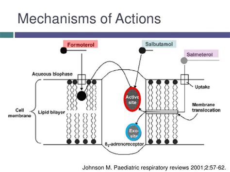 Beta 2 agonists