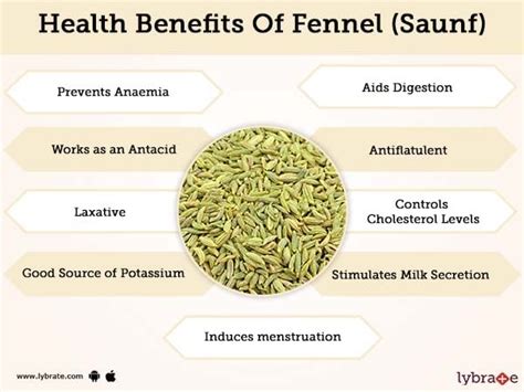 Fennel (Saunf) Benefits And Its Side Effects | Lybrate