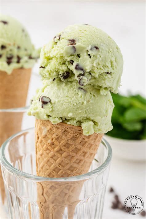 Mint Chocolate Chip Ice Cream - Ice Cream From Scratch