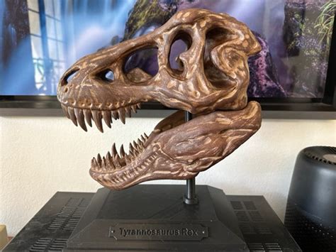 Realistic T-rex Skull Over 12 Tall 3D Printed - Etsy