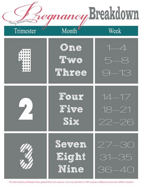 breakdown of pregnancy trimesters