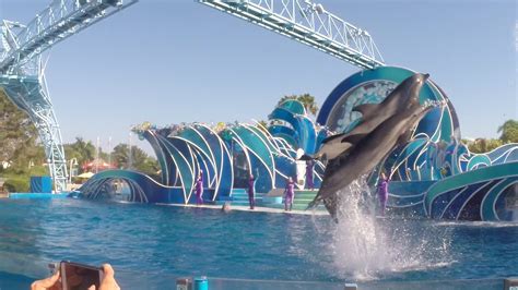 SeaWorld introduces new educational dolphin show - Theme Park Tribune ...