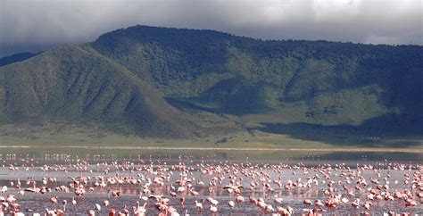 Ngorongoro conservation area | tanzania national parks | tanzania safari