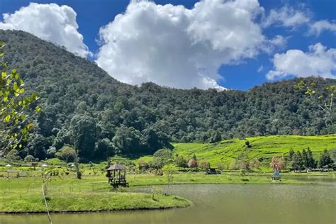 Wisata Telaga Saat Puncak: Destinasi Seru dan Edukatif di Tengah ...