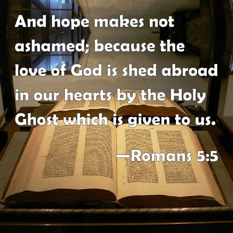 Romans 5:5 And hope makes not ashamed; because the love of God is shed abroad in our hearts by ...