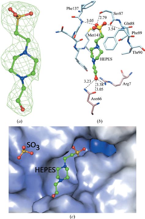 Bound HEPES and SO 3 molecules in the PfDTD-HEPES structure. (a) The... | Download Scientific ...