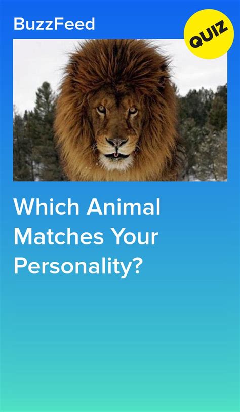 Which Animal Matches Your Personality? | Animal quiz, Fun personality ...