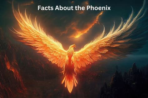 10 Facts About the Phoenix - Have Fun With History