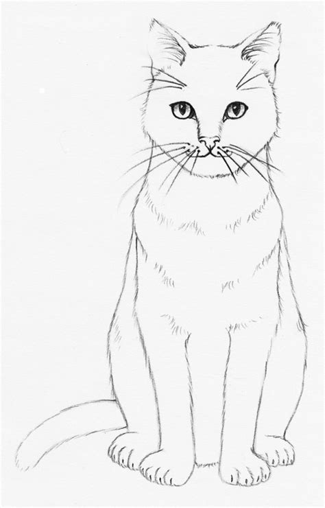 How to Draw a Realistic Cat Step-by-step - Udemy Blog