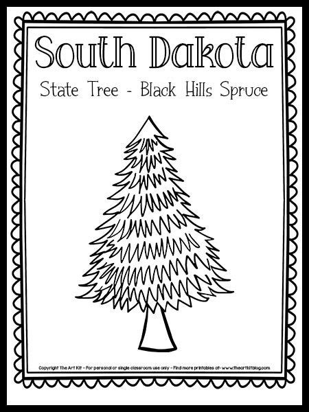 South dakota state tree coloring page black hills spruce free printable – Artofit