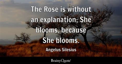 Rose Quotes - BrainyQuote