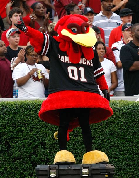 Represent!: Power Ranking The Mascots Of The SEC | Bleacher Report | Latest News, Videos and ...