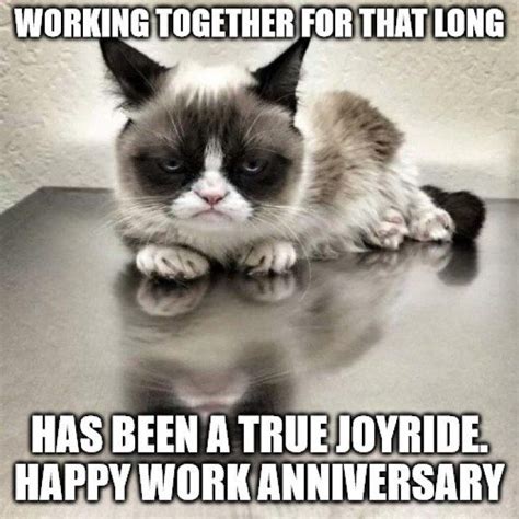 Funny Happy Work Anniversary Memes Wish Love Quotes Work | Images and ...