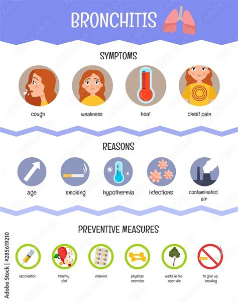 Vector medical poster bronchitis. Symptoms, causes and prevention. Stock Vector | Adobe Stock