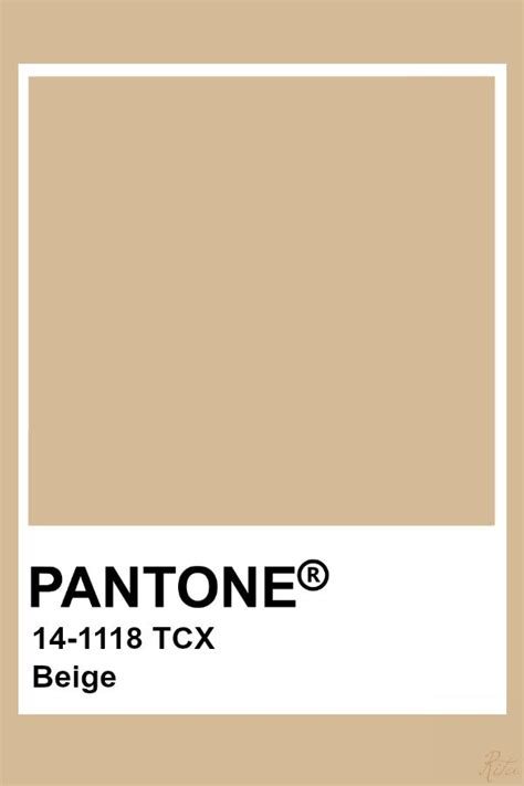 the pantone paint color is shown in beige