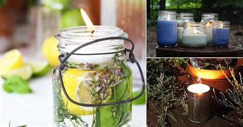 12 Homemade DIY Mosquito Repellent Candles | Balcony Garden Web