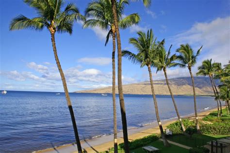 Exclusive Maui Condo Deals - Special Promotions & Discounts | Maui Condo Homes