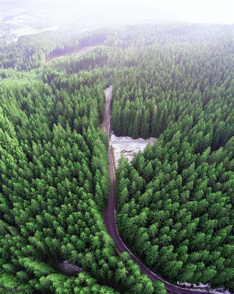 Empty road in a forest from a drone Photograph by Miroslav Liska - Fine ...