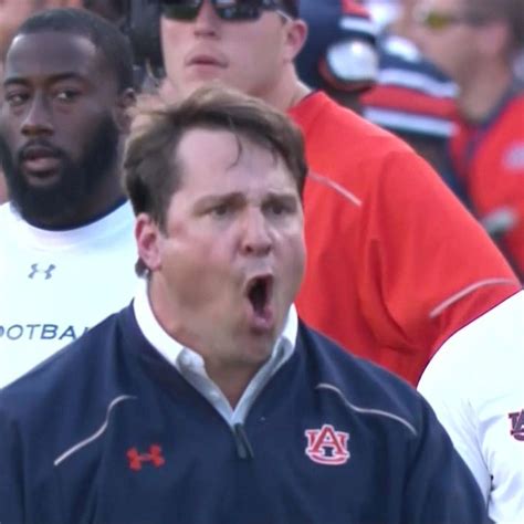 Will Muschamp Gif