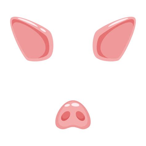 Pig Nose Illustrations, Royalty-Free Vector Graphics & Clip Art - iStock