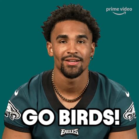 Go Birds! - GIPHY Clips