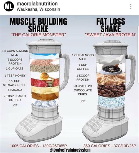 Easy Protein Shakes For Weight Loss - WeightLossLook