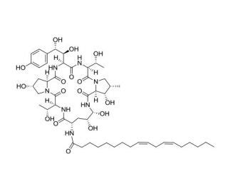 Echinocandin B | CAS 54651-05-7 | SCBT - Santa Cruz Biotechnology