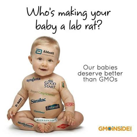 most baby formulas contain GMOs | Breastfeeding, Monsanto, Gmo labeling