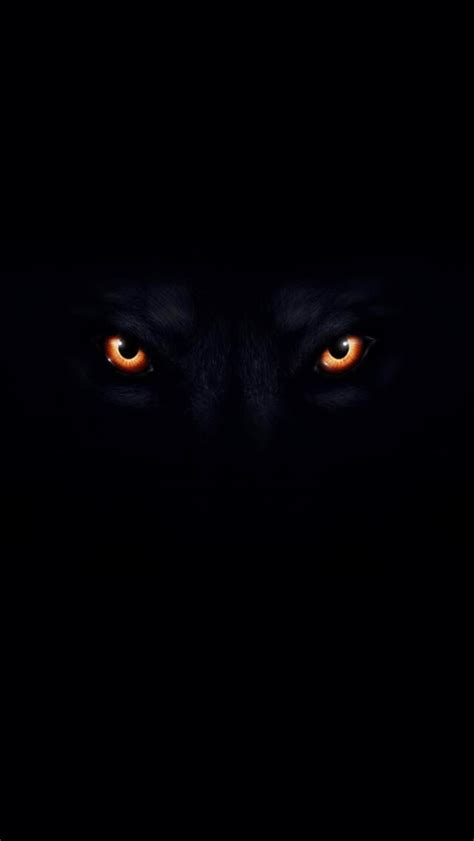 Glowing eyes in darkness - sapjeasia