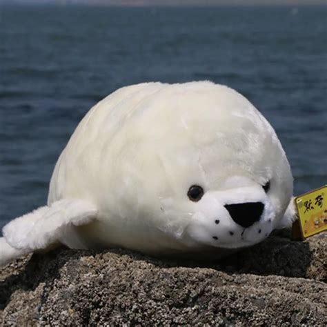 new plush high quality seal toy lovely white simulaiton seal doll about 60cm-in Stuffed & Plush ...