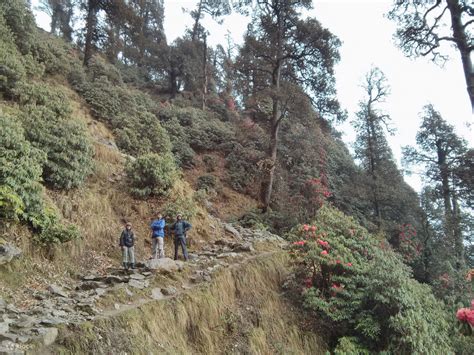 Himachal Pradesh Jogini Waterfall Trek - Klook Australia