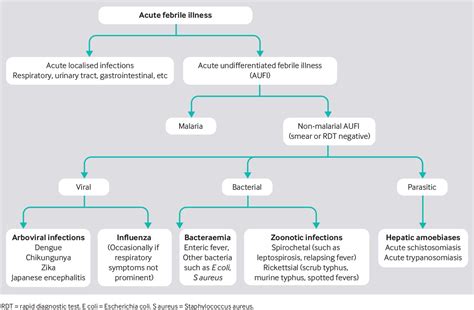 Assessment and initial management of acute undifferentiated fever in ...