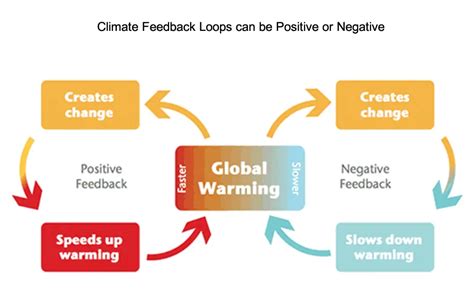 Climate Feedback Loops and Tipping Points | Center for Science Education