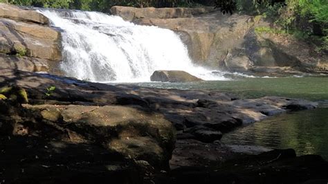 Thommankuthu Waterfalls (Thodupuzha) - 2020 All You Need to Know BEFORE You Go (with Photos ...