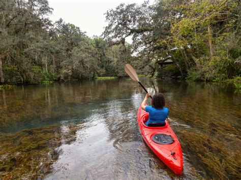 16 Best Places to See and Kayak with Manatees in Florida (+Practical ...