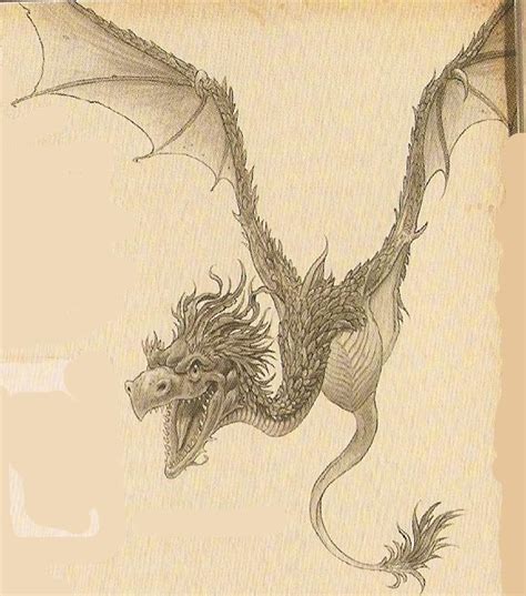 16 best Amphithere images on Pinterest | Mythical creatures, Dragon and Fantasy art