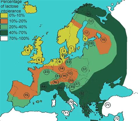 Lactose intolerance by percent of the population - Vivid Maps